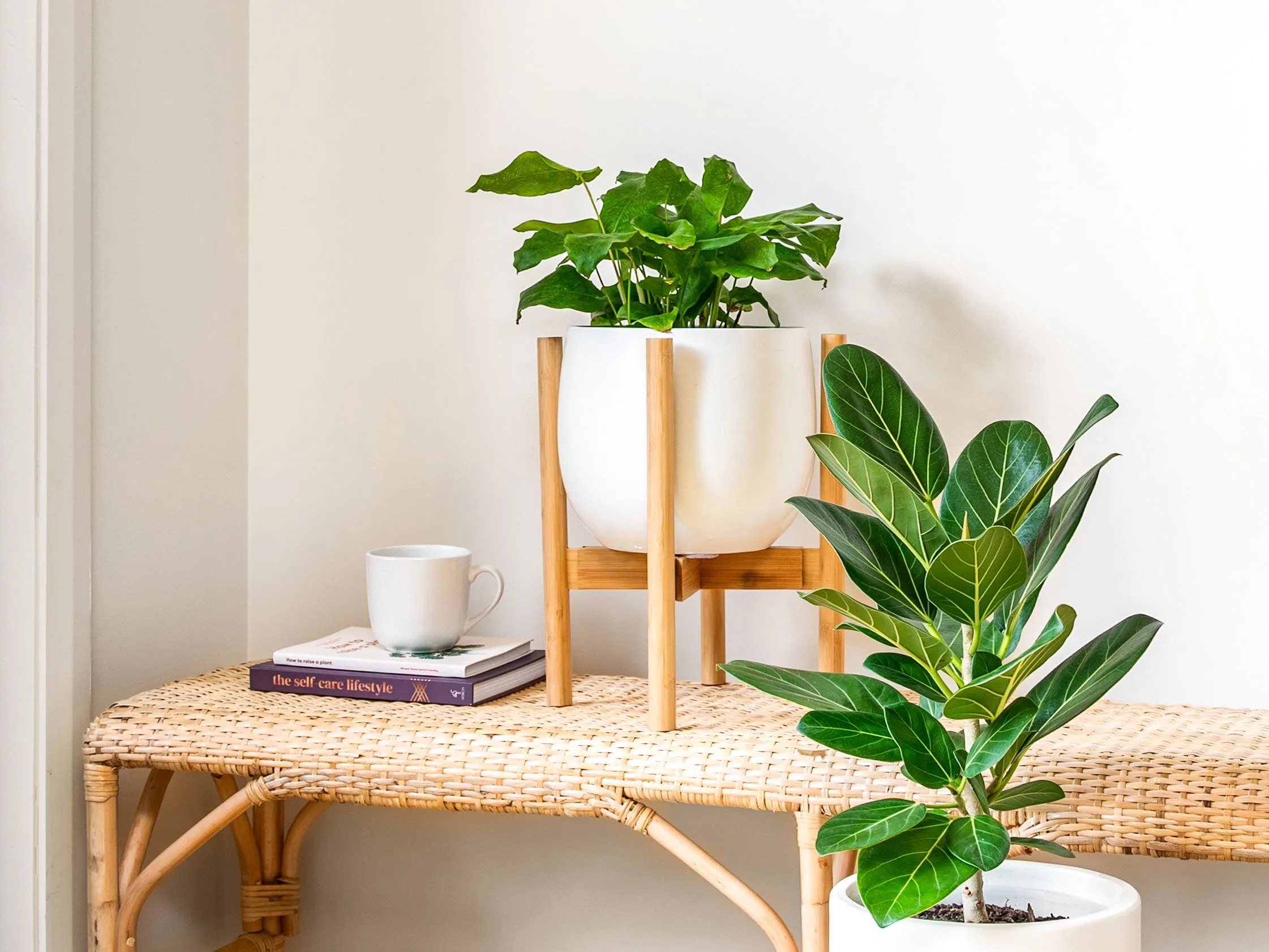 Adjustable bamboo plant stand - Natural