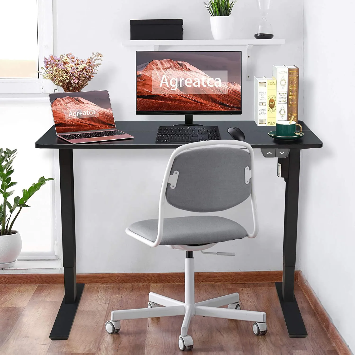 Electric Motor Adjustable Standing Desk-150cm